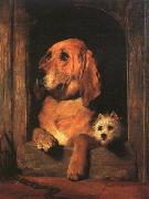 Sir Edwin Landseer Dignity and Impudence oil on canvas